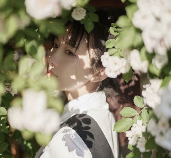 叶子楣三级免费观看_BD高清在线观看高清