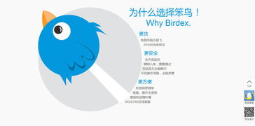 笨鳥海淘 把轉(zhuǎn)運物流打到極致,做海淘供應(yīng)鏈市場的先飛笨鳥