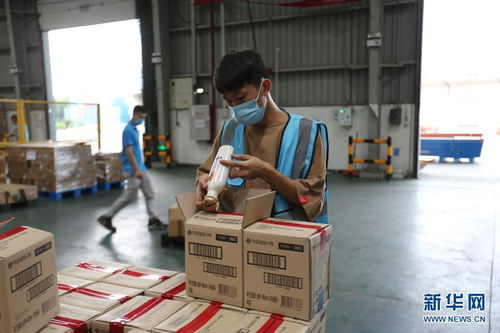 開放不息，海淘不止 疫情防控常態化下的廣州對外開放與海淘物流之路